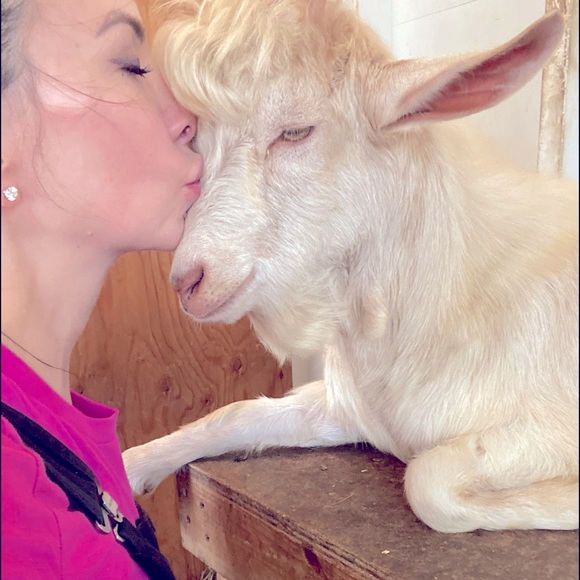 Meet your Posher, JJ - Picture 6 of 7